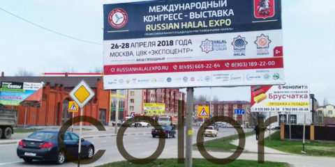 Реклама на билбордах в Грозном Russian Halal Expo рекламная кампания